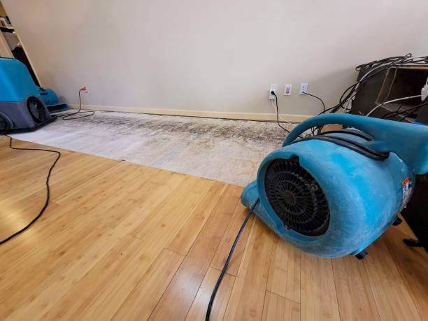 Professional Burst Pipe Water Damage technician working in West Greenwich, RI